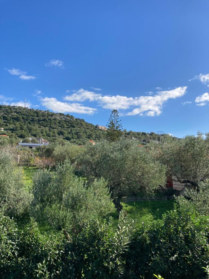 Studios Angeliki Lassi  Exterior foto